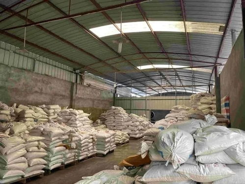 貨物危險性鑒定書 普通貨物鑒別中心