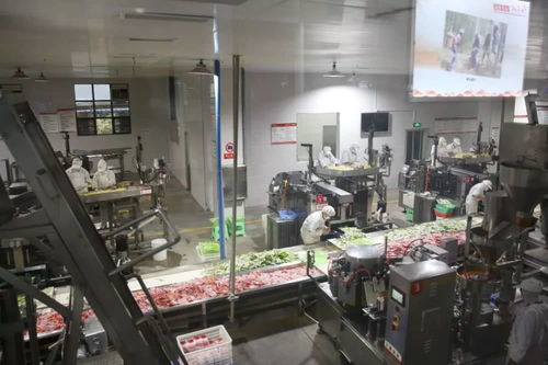 復(fù)工復(fù)產(chǎn) 赤水開 竹 馬力做 竹 文章